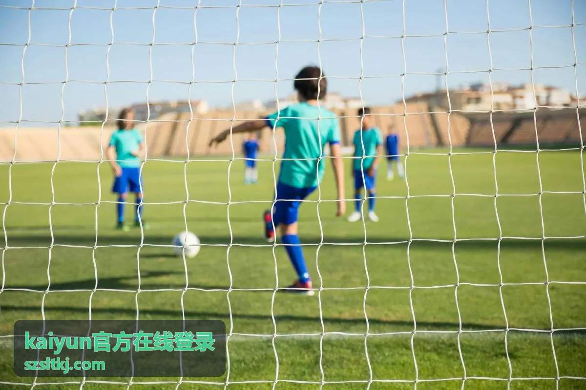 kaiyun官方在线登录设备与会话核对示意