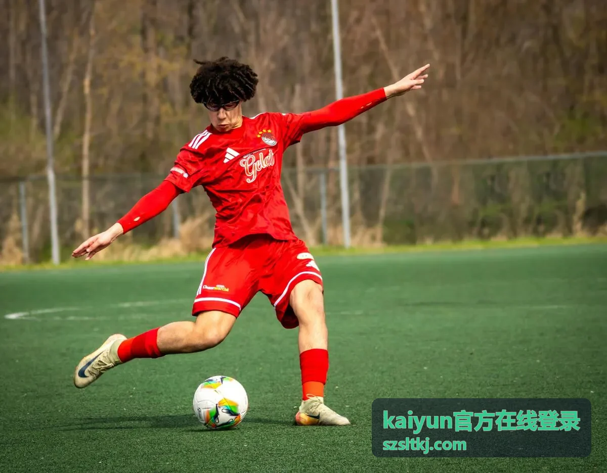 kaiyun官方在线登录账号恢复备用方式示意